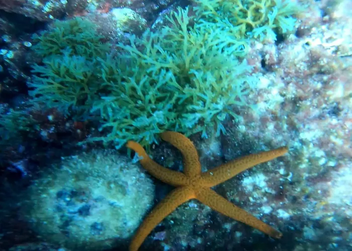 El Buen Sol De 公寓 *