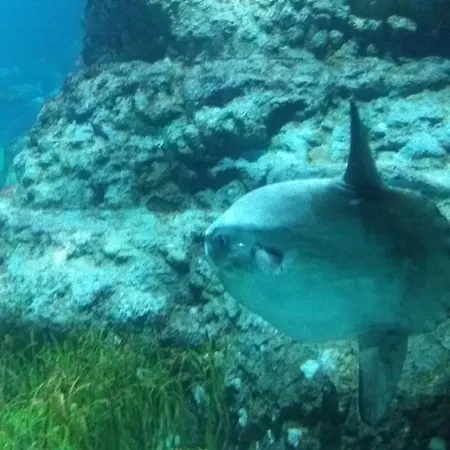 El Buen Sol De * La Manga del Mar Menor