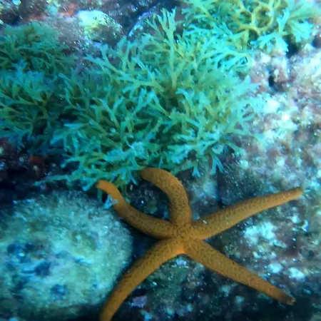 El Buen Sol De 아파트 *